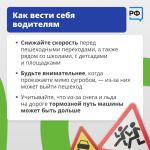 Фотодокумент 